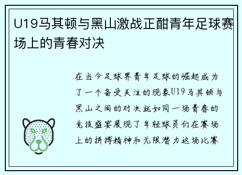 U19马其顿与黑山激战正酣青年足球赛场上的青春对决