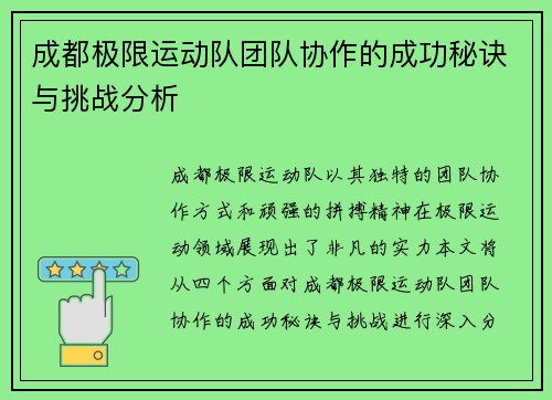 成都极限运动队团队协作的成功秘诀与挑战分析
